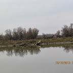IMG_1522.JPG