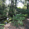 Rainbow Springs State Park-092207-1.JPG