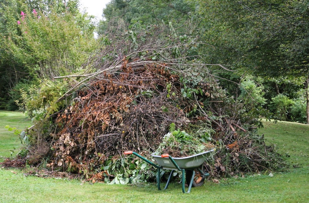 [IMG_8711%255B3%255D.jpg]