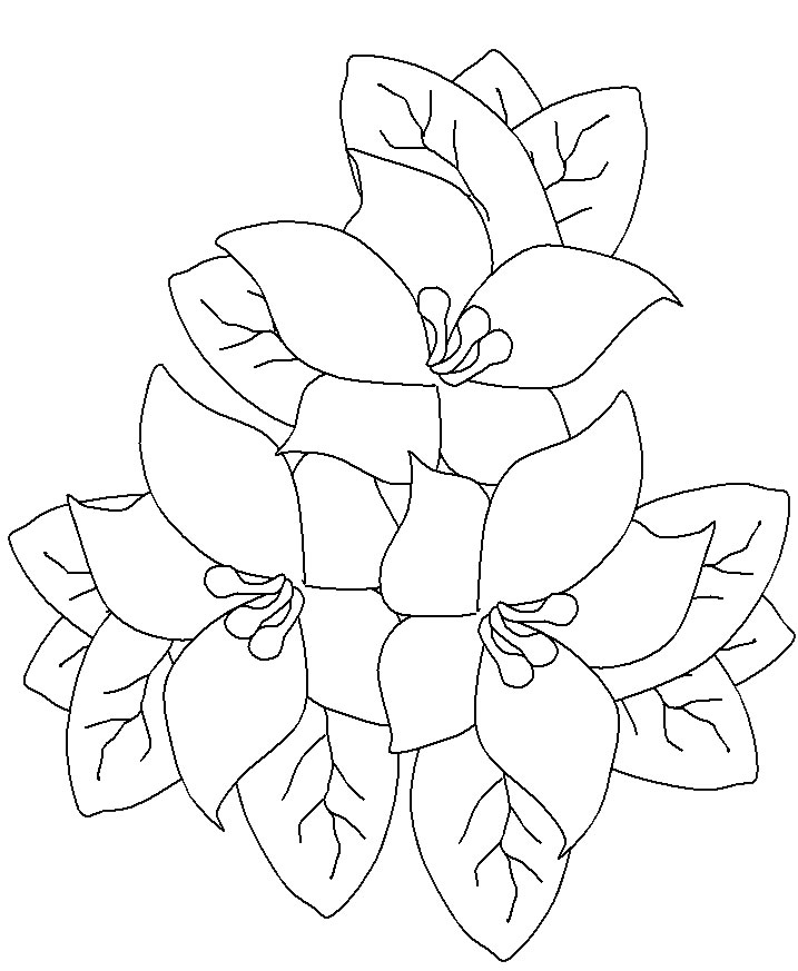 Flores Para Colorir Thumbgal A primavera e uma das quatro estacoes, depois do inverno ao verao e a epoca para a natureza despertar. google sites