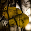 DSC_4639.jpg