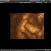 BABY_23.JPG