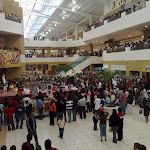 viane a mil amores acul 302.jpg