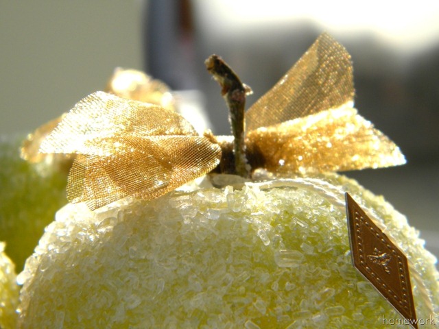[Apple%25204%255B4%255D.jpg]