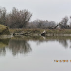 IMG_1520.JPG