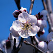 20090404 Pro400H_35-Edit.jpg