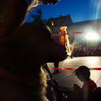 Krakow Theatre Festival 055.JPG