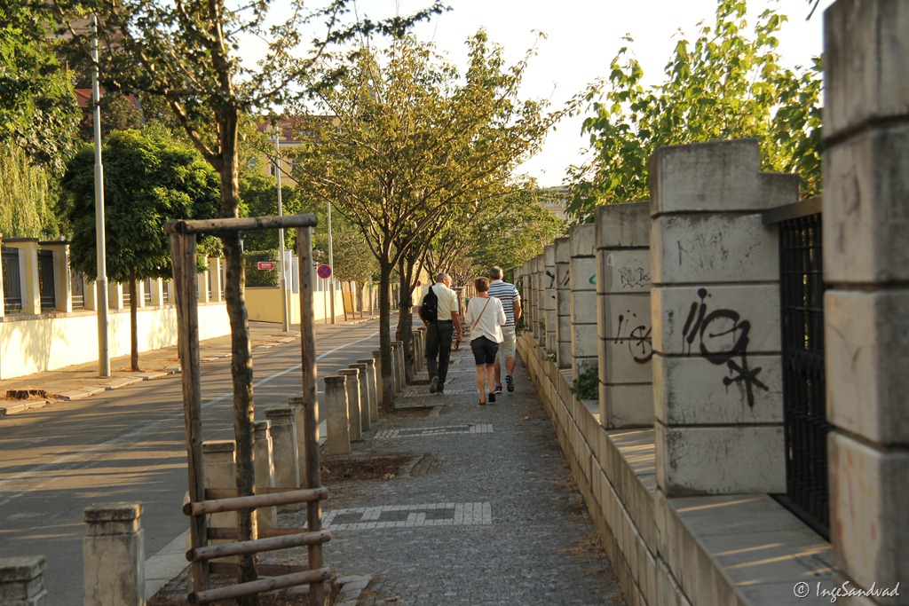 [IMG_3023%255B3%255D.jpg]