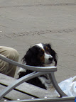 'Linus' contemplates the plight of his Viking ancestors...