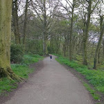 IMAG0064.jpg
