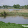 dsc06828.jpg