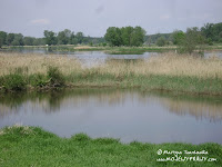 dsc06828.jpg