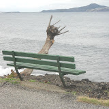 Peace and quiet