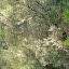 DSCN5693.JPG