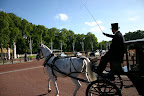 Royal horse carriage