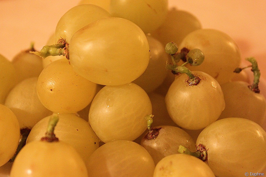 [picture%2520855%255B5%255D.jpg]