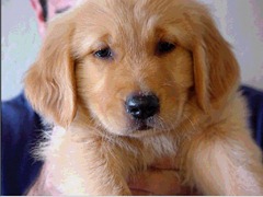 TUCKER_29_9_00 TUCKER_29_9_00