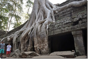 Cambodia Angkor Ta Prohm 131226_0482