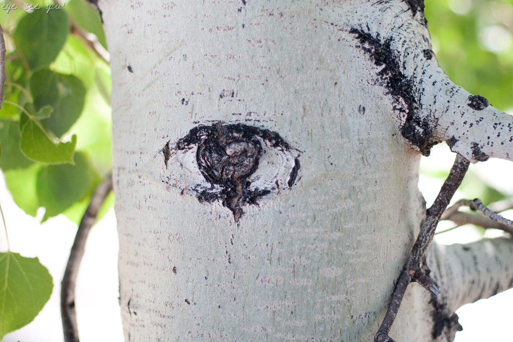 [20130625-IMG_250713.jpg]