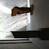 IMG_5669.JPG