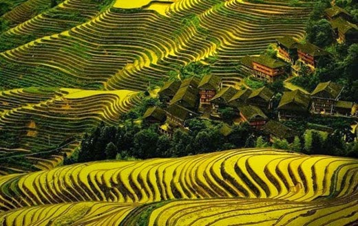 [clip_image002%255B3%255D.jpg]