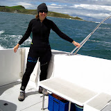 South Island - Kaikoura - swimming with dolphins