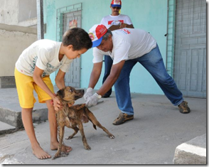 vacinação animal