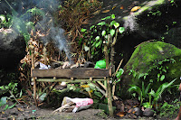 DSC_4413.JPG