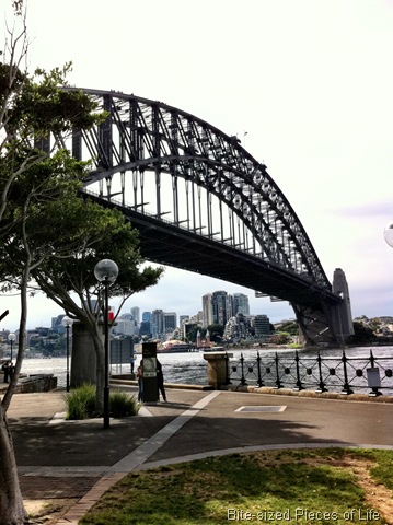 [IMG_5334%255B9%255D.jpg]