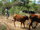 South Africa - 226.JPG