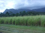 DSCF0189.JPG