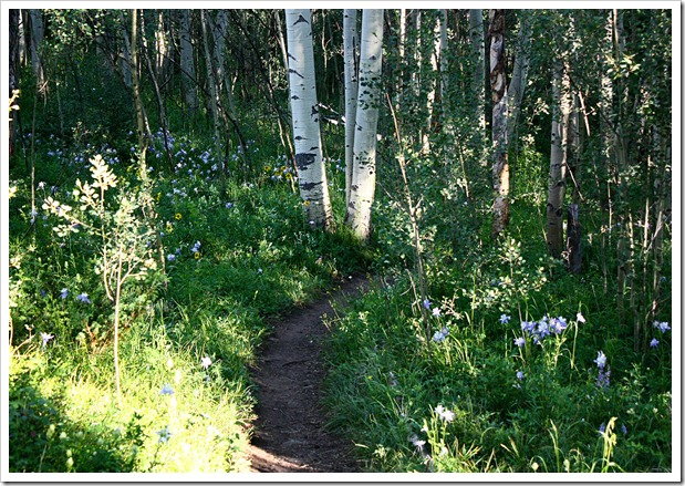 Peaks Trail 7-23-11 (32)