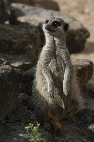 [IMG_0881%255B10%255D.jpg]