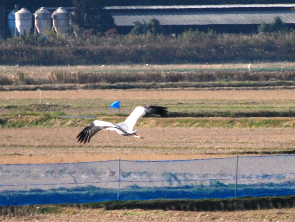[DSC_0288%255B4%255D.jpg]