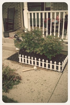 [fence%255B3%255D.jpg]