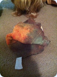photo 2 (4)