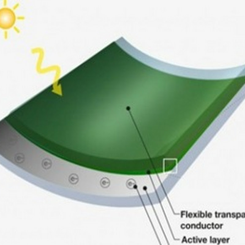 Crean células solares desde trozos de jardín