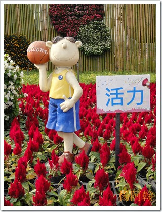 1119 191 - 台中新社花海 1119 191 - 台中新社花海