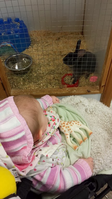 [20131209_124649.jpg]