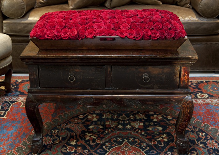 [DSCF1058-bloom-by-Anuschka5.jpg]