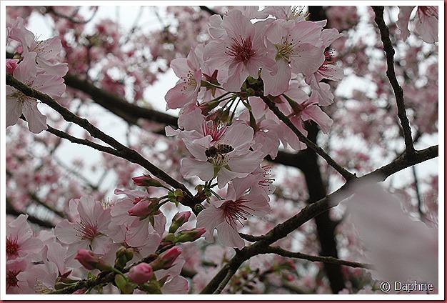 IMG_2314 IMG_2314