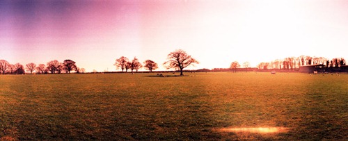 Summer-Fields---XPRO Summer-Fields---XPRO