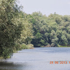 DSCN8216.JPG