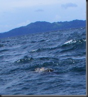 DSCF7641