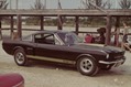 Ford-Mustangs-15