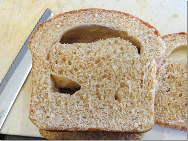 Holey Whole Wheat Bread Slice