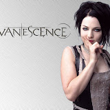 Evanescence - Amy Lee 13