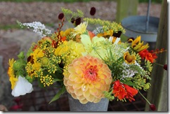 IMG_3703 IMG_3703