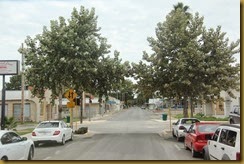 IMG_0343 IMG_0343