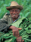 Tabaquero